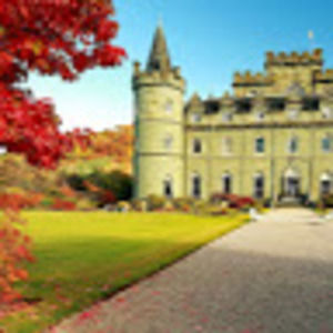 Meet your Posher, Abdullah